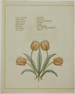 Decoratieve illustratie, uit De verlichte taal van bloemen