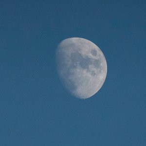 Kijk naar de maan, 2021 (foto) door Katha Wood
