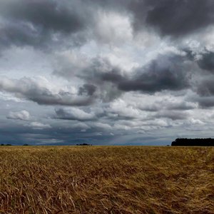 Stormachtige lucht boven een late zomeroogst 2020