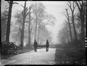 Kensington Gardens, Hyde Park, City Of Westminster, London, 26/01/1907