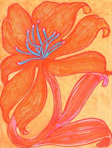  door Katie O'Shea