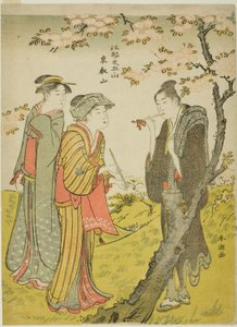 Toei Heuvel (Toeizan), uit de serie 