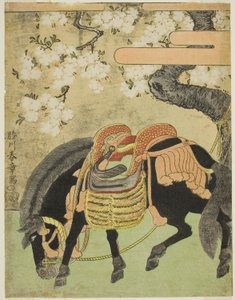Zwart paard vastgebonden onder een bloeiende kersenboom door Katsukawa Shunsho