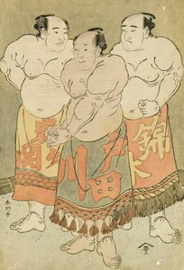 Volledige Portretten van de Worstelaars Nishikigi, Todagawa en Iwagaseki die zich in de Ring presenteren