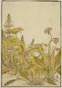 Lentebloemen: Viooltjes en paardenbloemen, uit het boek 