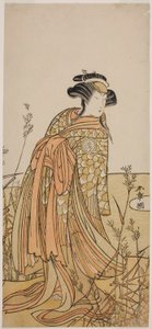 De acteur Segawa Kikunojo III als geest van een mandarijneend (Oshidori) vermomd als Tagasode, in het stuk Hana-zumo Genji Hiiki, uitgevoerd in het Nakamura Theater in de elfde maand, 1775 door Katsukawa Shunsho