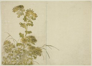 Winterbloemen: Chrysanten, uit het boek "Spiegel van mooie vrouwen van de plezierwijken (Seiro bijin awase sugata kagami)," deel 1