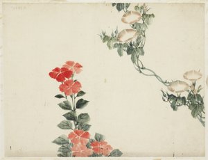 Morgenroos en Rode Bloemen door Katsushika (school of) Hokusai