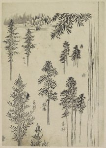Landschap met bomen