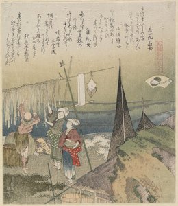 Abalone, 1821