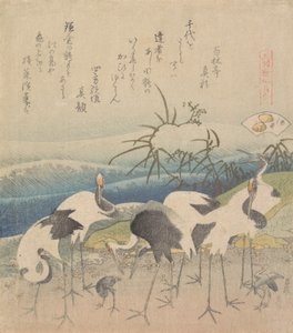 Ashi Clam, uit de serie Genroku Kasen Kai-awase, 1821