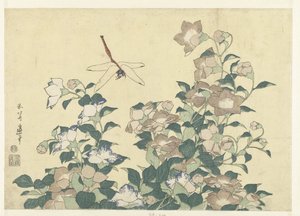 Ballonklokje en libelle door Katsushika Hokusai
