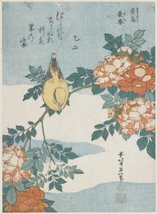 Zwartnekoriole en Chinese Roos, ca. 1833 door Katsushika Hokusai