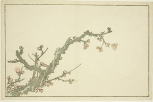 Bloeiende pruimenboom, uit Het prentenboek van realistische schilderijen van Hokusai (Hokusai shashin gafu), c.1814