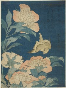Kanarie en pioenroos (Kanaari, shakuyaku), uit een ongetitelde serie bloemen en vogels