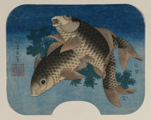 Karpers zwemmen bij waterplanten door Katsushika Hokusai