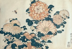 Chrysanten