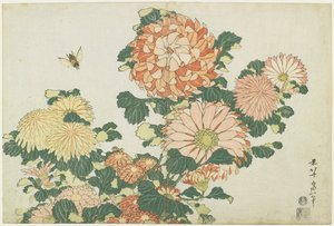 Chrysanten en paardenvlieg, c. 1832 door Katsushika Hokusai
