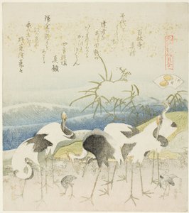 Kraanvogels aan de kust, illustratie voor De Been Schelp (Ashigai), uit de serie 