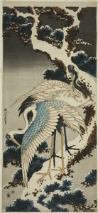 Kraanvogels op met Sneeuw Bedekte Pijnboom door Katsushika Hokusai