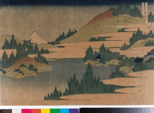Hakone meer in de prefectuur Sagami