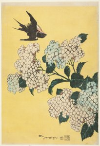 Hortensia en Zwaluw, uit een ongetitelde serie van grote bloemen door Katsushika Hokusai