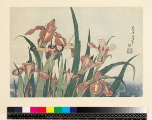 Iris en sprinkhaan, uitgegeven door Nishimura Eijudo, c.1832 door Katsushika Hokusai