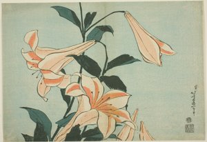 Lelies, uit een ongetitelde serie van grote bloemen door Katsushika Hokusai