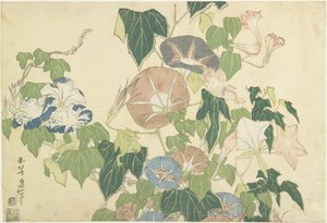 Winde en boomkikker, uit de ongetitelde serie bekend als Grote Bloemen, ca. 1833-34