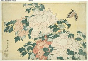 Pioenen en Vlinder, uit een ongetitelde serie van grote bloemen
