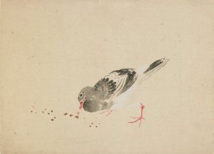 Duif, laat 18e-begin 19e eeuw door Katsushika Hokusai