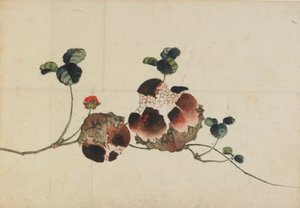 Granaatappels door Katsushika Hokusai