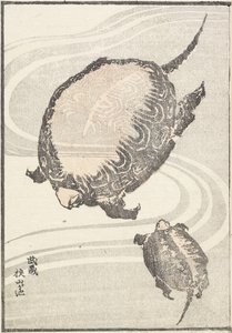 Sayama-ga-ike Vijver in de provincie Musashi, 1817 door Katsushika Hokusai