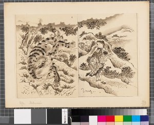 Scènes uit de oorlog tussen Japan en Korea, eind 18e-begin 19e eeuw door Katsushika Hokusai