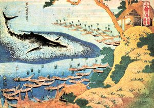 Serie van duizend uitzichten op de oceaan: de walvis voor de kust van de Goto-eilanden, Japan