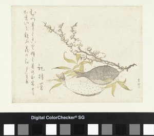 Twee platvissen en pruim door Katsushika Hokusai