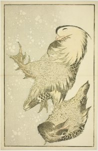 Twee watervogels, uit Het prentenboek van realistische schilderijen van Hokusai door Katsushika Hokusai