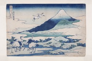 Umezawa-landgoed in de provincie Sagami door Katsushika Hokusai