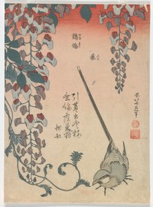Kwikstaart en Wisteria, Edo-periode door Katsushika Hokusai