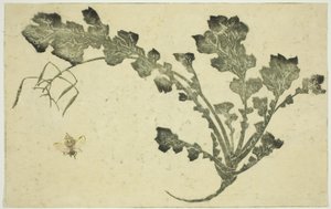 Wesp en raapstengel, uit "Het prentenboek van realistische schilderijen van Hokusai (Hokusai shashin gafu)"