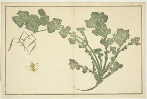 Wesp en raapsteel, uit "Het prentenboek van realistische schilderijen van Hokusai (Hokusai shashin gafu)" door Katsushika Hokusai