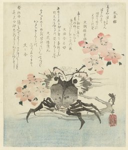 Krab met kersenbloesem door Katsushika Taito II