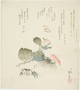 Twee Krabben bij een Tak van Camellia door Katsushika Taito II