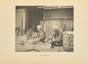 Katoen Spinnen door Kazumasa Ogawa