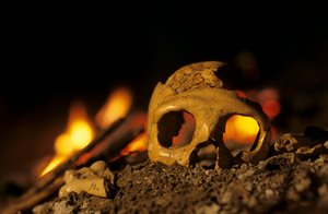 Neanderthalers 130.000 jaar oude, schedel van een vrouw, Krapina 3, Krapina Grot, Balkan