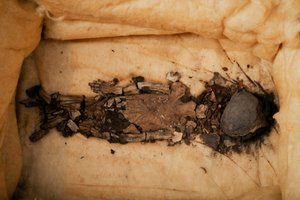 Foetus mummie, kind van Koning Toetanchamon, Foetus 1, vrouwelijk, uit KV62, Momenteel in Qasi Aini Ho