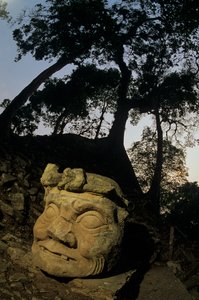 God N, Ceiba-boom, tempel, Maya, Copan, Honduras, Klassieke periode