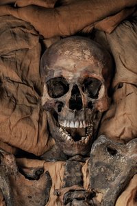 Mummie van de vader van Koning Toet, Achnaton