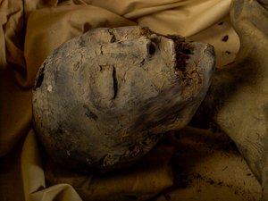 Mummie van de moeder van koning Toetanchamon (bekend als de Jongere Dame)