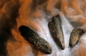 Geslepen botpunten gebruikt voor graven, Van Drimolean Site, nabij Johannesburg, Zuid-Afrika door Kenneth Garrett